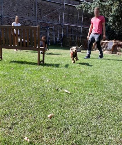 Intensivtraining_Rückruf_01