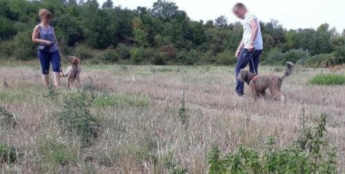 Begegnungstraining - Übung Vorbereitung 