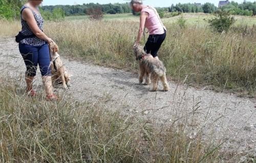 Begegnungstraining - Übung