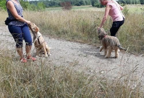 Begegnungstraining - Übung