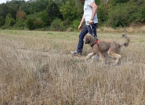 Begegnungstraining - Übung Vorbereitung