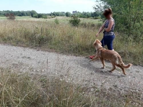Begegnungstraining - Übung Vorbereitung