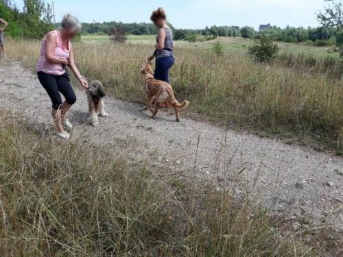 Begegnungstraining - Übung