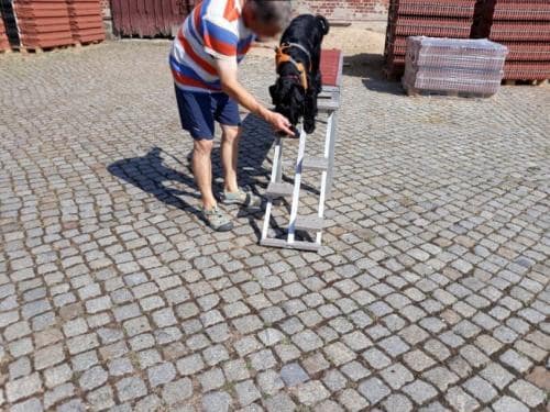 Gerätetraining_2018_04