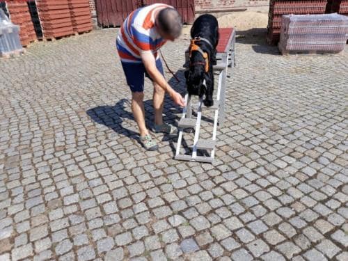 Gerätetraining_2018_05