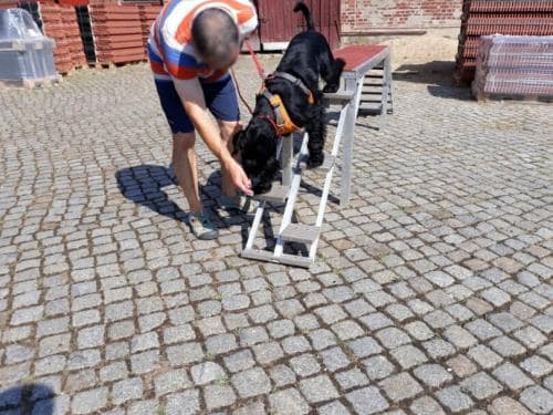 Gerätetraining_2018_06