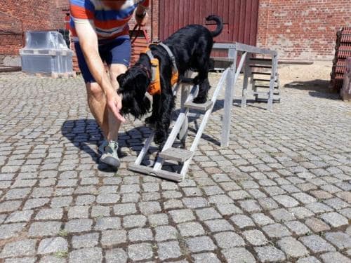 Gerätetraining_2018_07