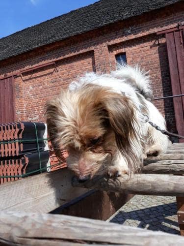 Gerätetraining_2018_03