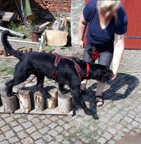 Gerätetraining_2018_01