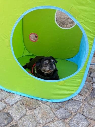 Gerätetraining_2018_02