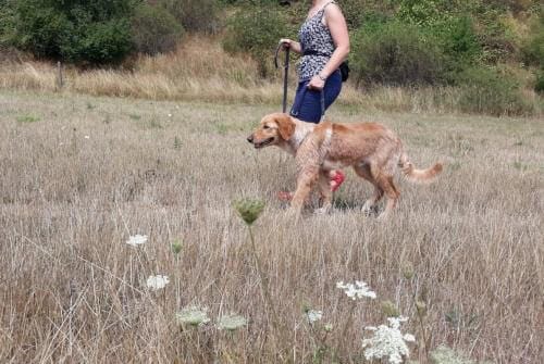 Begegnungstraining - Übung Vorbereitung