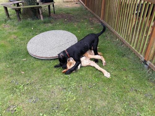 Erziehungskurs_2018_11_Spielzeit