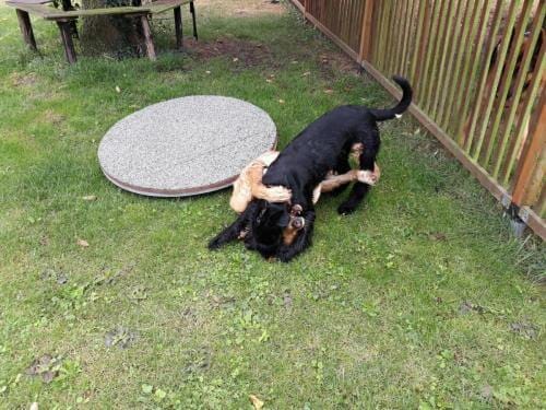 Erziehungskurs_2018_10_Spielzeit