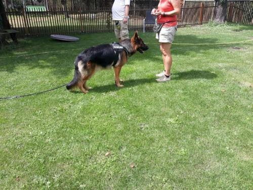 Erziehungskurs_2018_07