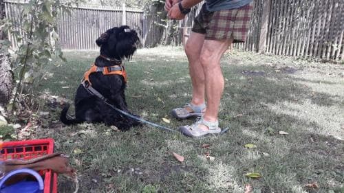 Erziehungskurs_2018_06