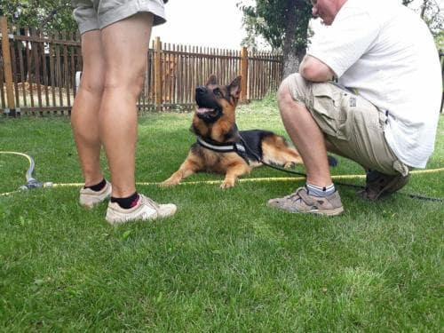 Erziehungskurs_2018_05