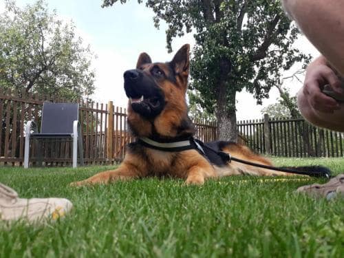 Erziehungskurs_2018_04