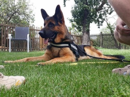 Erziehungskurs_2018_02