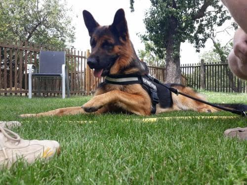 Erziehungskurs_2018_01