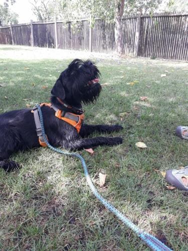 Erziehungskurs_2018_03