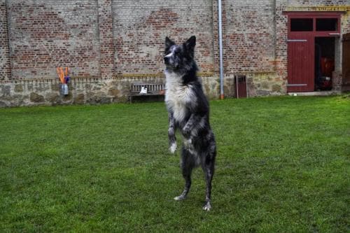 Einzeltraining_01-01-min