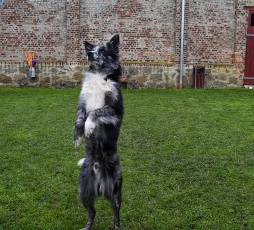 Einzeltraining_02-01-min