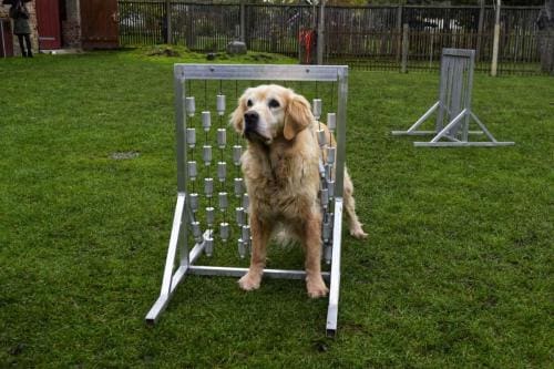 Einzeltraining_03-01-min