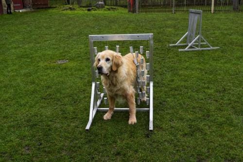 Einzeltraining_04-01-min