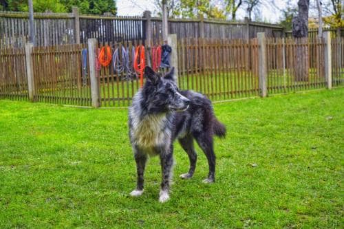 Einzeltraining_05-01-min